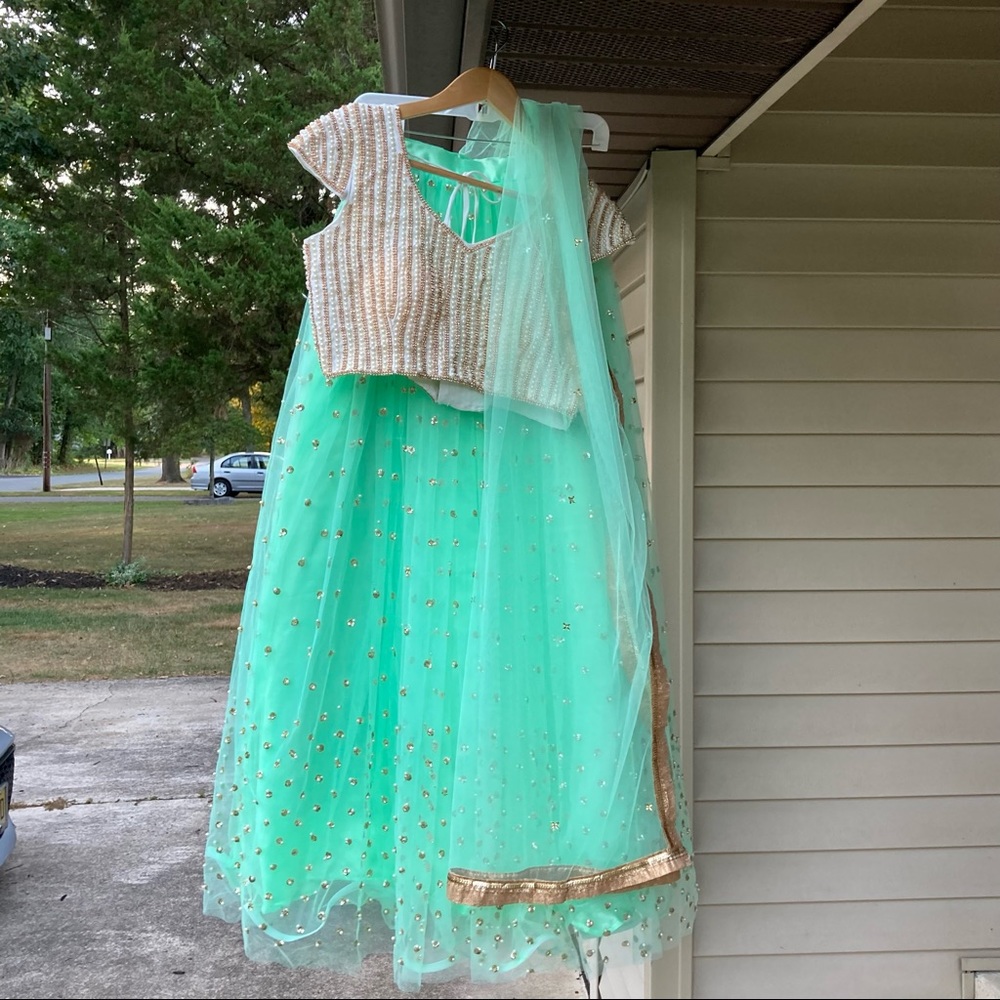 Baby Pink and Mint Green Lehenga with 2 Blouses